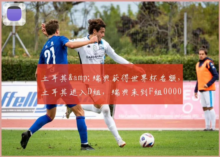 土耳其&瑞典获得世界杯名额，土耳其进入D组，瑞典来到F组0000644