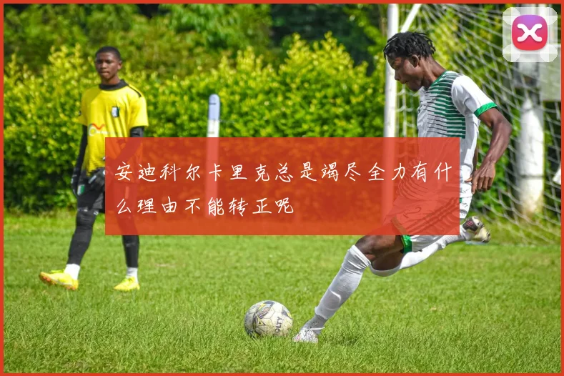 安迪科尔卡里克总是竭尽全力有什么理由不能转正呢